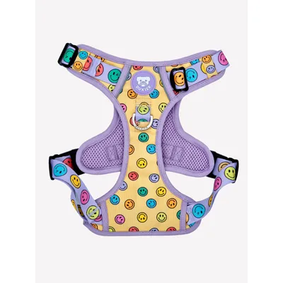 Dukier Harnais Trail  Smiley