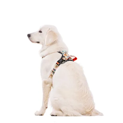 Dukier Harnais Trail  Tattoo