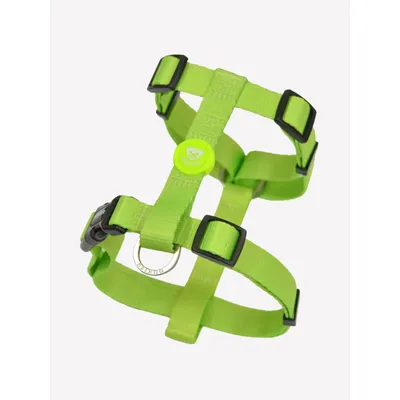 Dukier Harnais Classique Lime Dukier Harnais Classique Lime