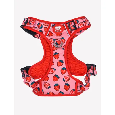 Dukier Harnais Trail Berry Love pour chien Dukier Harnais Trail Berry Love pour chien