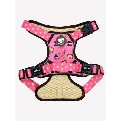 Dukier Harnais Trail  Dogtella pour chien