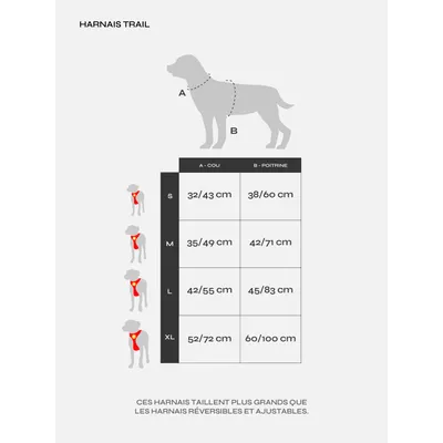 Dukier Harnais Trail  Dogtella pour chien