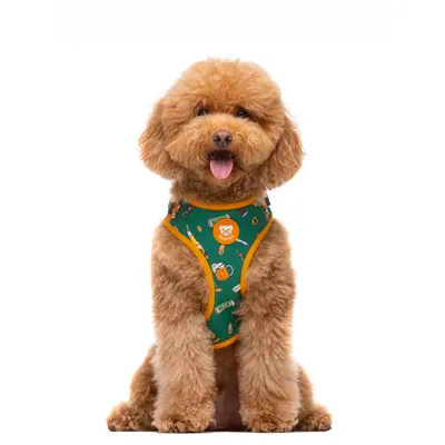 Dukier Harnais Réglable Beer