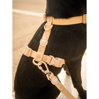 Dukier Harnais Waterproof Beige