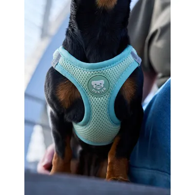 Dukier Harnais Body Soft Green (essentials)