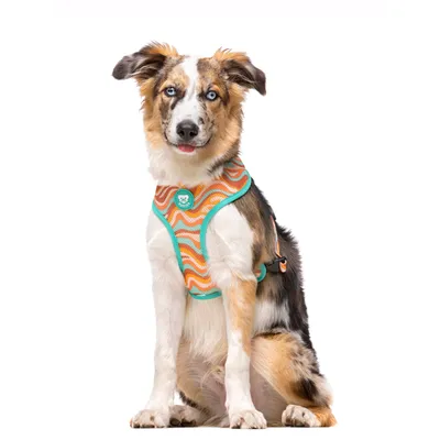 Dukier Harnais Réversible Peace