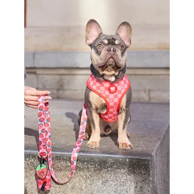 Dukier Harnais Réversible Berry Love