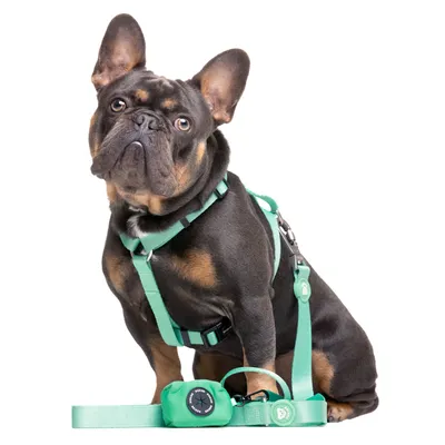 Dukier porte - sacs pour chien Mint Dukier porte - sacs pour chien Mint