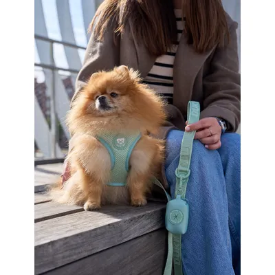 Dukier porte - sacs pour chien Soft Green (essentials)