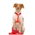 Dukier porte - sacs pour chien Red