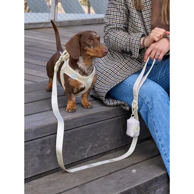 Dukier porte - sacs pour chien Beige (Essentials)