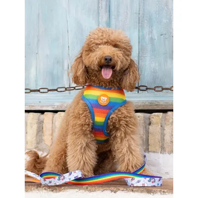 Dukier porte - sacs pour chien Unicorns