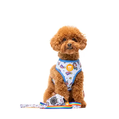 Dukier porte - sacs pour chien Unicorns