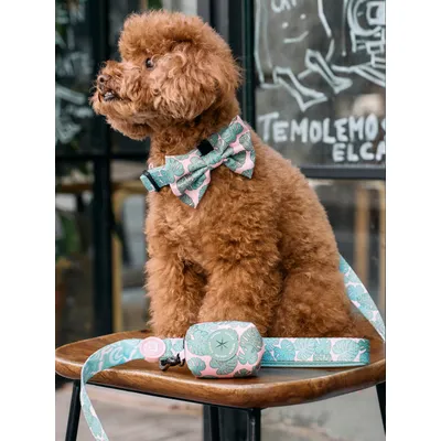 Dukier porte - sacs pour chien Monstera Dukier porte - sacs pour chien Monstera