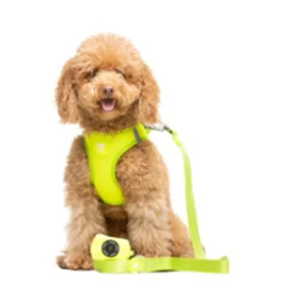 Dukier porte - sacs pour chien Lime