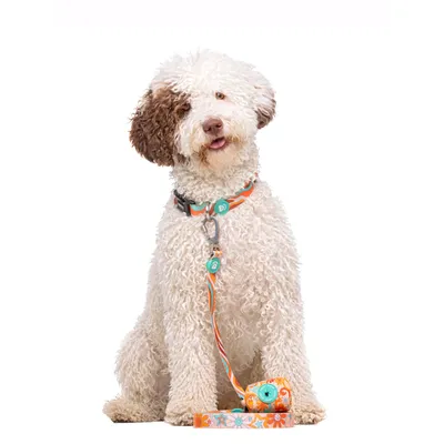 Dukier porte - sacs pour chien Peace