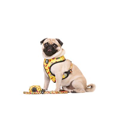 Dukier porte - sacs pour chien Sweets