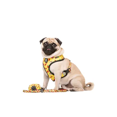 Dukier porte - sacs pour chien Sweets