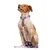 Dukier porte - sacs pour chien Pink Galaxy