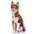 Dukier porte - sacs pour chien Chess Board