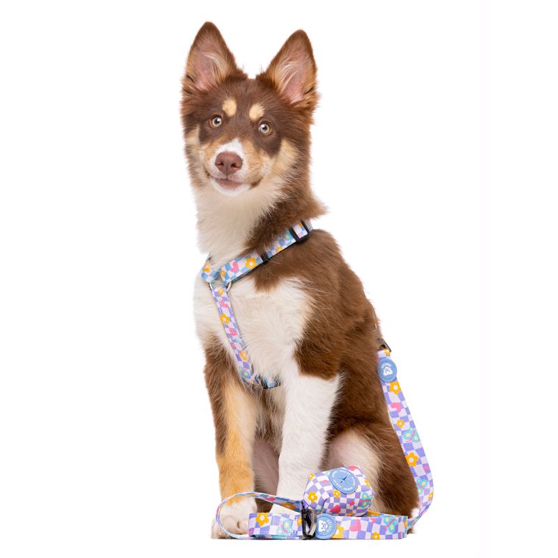 Dukier porte - sacs pour chien Chess Board