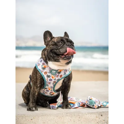 Dukier porte - sacs pour chien Hawaii (surf) Dukier porte - sacs pour chien Hawaii (surf)