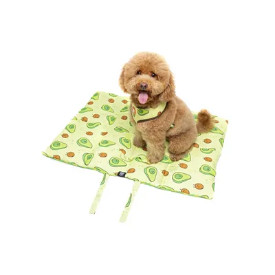 Dukier Pet Tapis Enroulable Avocado