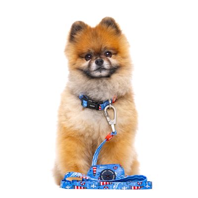 Dukier Laisse Navy pour chien