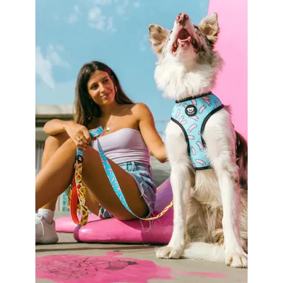 Dukier Laisse Sweets pour chien