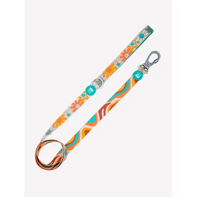Dukier Laisse Peace pour chien