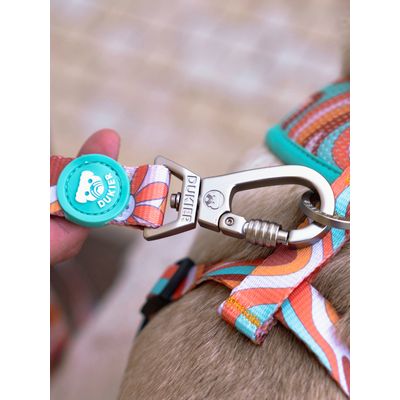 Dukier Laisse Peace pour chien