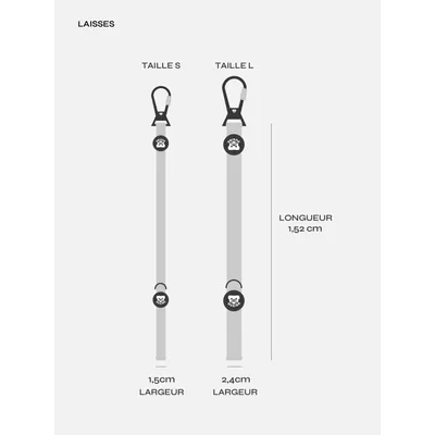 Dukier Laisse Blue pour chien