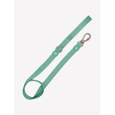 Dukier Laisse Mint pour chien