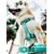 Dukier Laisse Mint pour chien