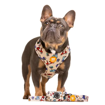 Dukier Laisse Scooter pour chien