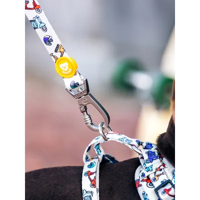Dukier Laisse Scooter pour chien