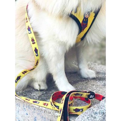 Dukier Laisse Superdog pour chien