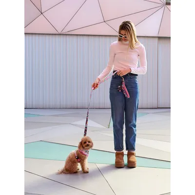 Dukier Laisse Pink Galaxy pour chien