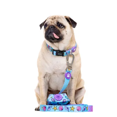 Dukier Laisse Mermaid pour chien