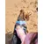 Dukier Laisse Mermaid pour chien