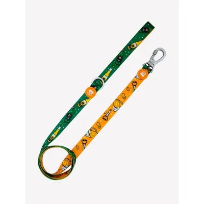 Dukier Laisse Beer pour chien