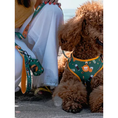 Dukier Laisse Beer pour chien