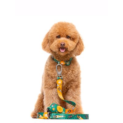 Dukier Laisse Beer pour chien