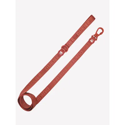 Dukier Laisse Terracota (Essentials) pour chien