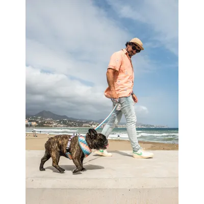 Dukier Laisse Hawaii (surf) pour chien