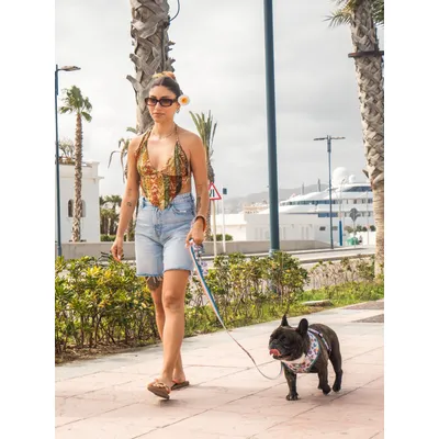 Dukier Laisse Hawaii (surf) pour chien