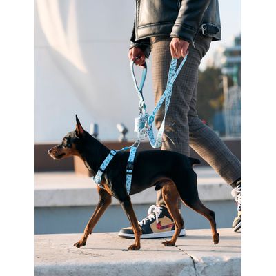 Dukier Laisse Penguins pour chien