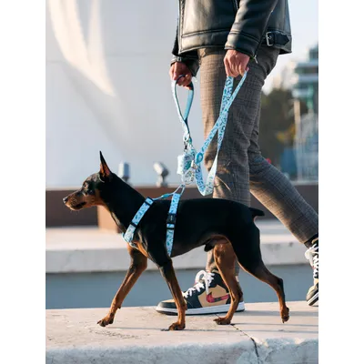 Dukier Laisse Penguins pour chien