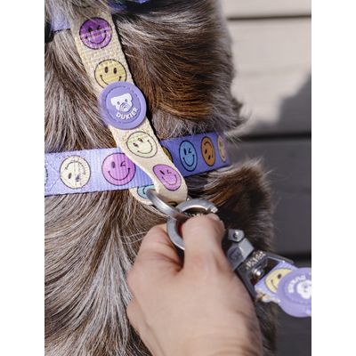 Dukier Laisse Smiley pour chien