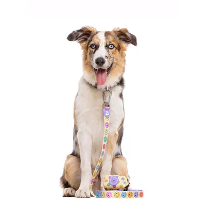 Dukier Laisse Smiley pour chien